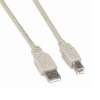 USB 2.0 Type A to Type B Cable 6ft - Ivory