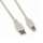 USB 2.0 Type A to Type B Cable 10ft - Ivory