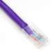 4Ft Cat5E Assembly Patch Cable Purple