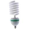 Spiral Bulb