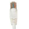 Cat6 1ft Patch Cable with Snagless Boot 550MHz - White