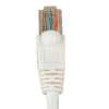 1.5Ft Cat.6 Molded Snagless Patch Cable White