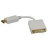 Display Port Male to DVI Female Adapter