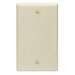 Blank Wall Plate Ivory Smooth Face