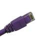 Cat6A 2ft Patch Cable with Molded Boot 10G - Purple