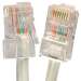 Cat6 Non-Booted 100ft Assembly Patch Cable 550MHz - Gray