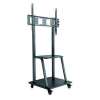 Mobile TV Cart
